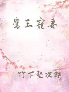 鹰王宠妻