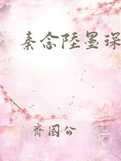 秦念陆墨琛