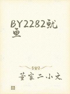 BY2282鱿鱼