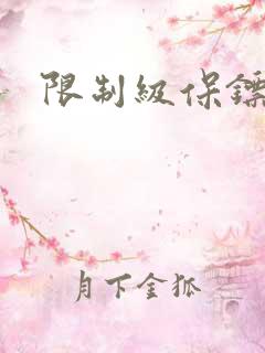 限制级保镖