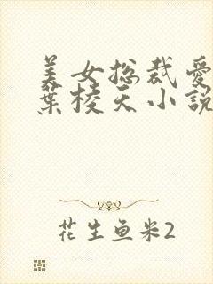 美女总裁爱上我叶棱天小说