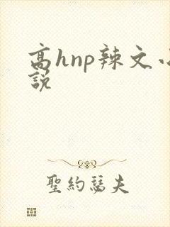 高hnp辣文小说