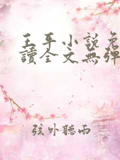 王平小说免费阅读全文无弹窗