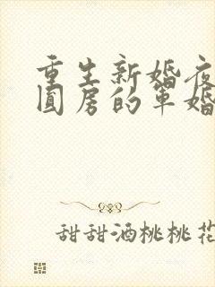 重生新婚夜正在圆房的军婚