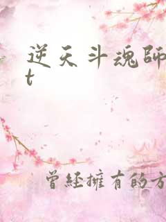 逆天斗魂师txt