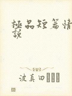 极品短篇情艳小说