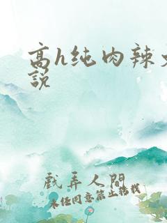 高h纯肉辣文小说