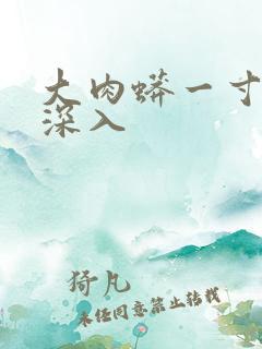 大肉蟒一寸寸地深入