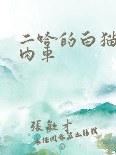 二哈的白猫师尊肉车