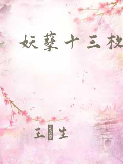妖孽十三枚