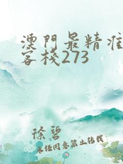 澳门最精准龙门客栈273