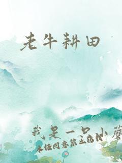 老牛耕田