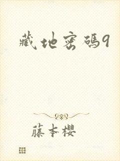 藏地密码9
