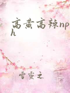 高黄高辣np高h