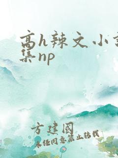 高h辣文小说合集np