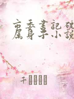 市委书记破女下属身子小说