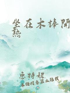 坐在木棒开始加热