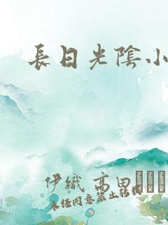长日光阴小说