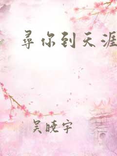 寻你到天涯