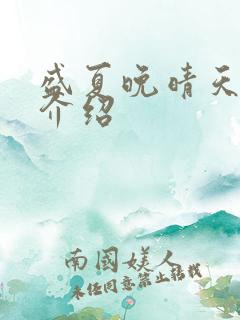 盛夏晚晴天剧情介绍