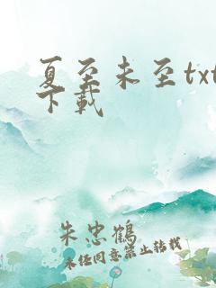 夏至未至txt下载