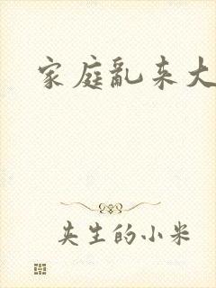家庭乱来大杂烩