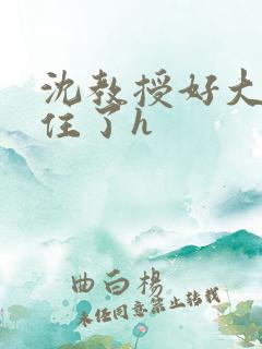沈教授好大含不住了h