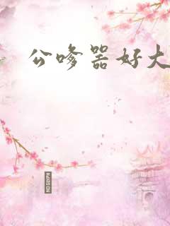 公嗲器好大好H