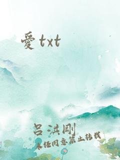 爱txt