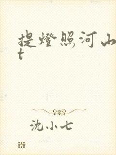 提灯照河山txt