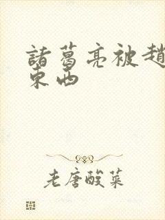 诸葛亮被赵云塞东西