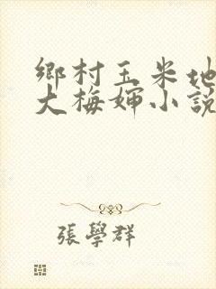 乡村玉米地小说大梅婶小说