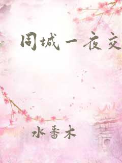 同城一夜交友