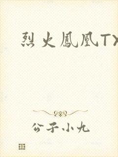 烈火凤凰TXT