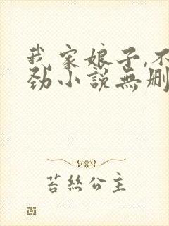 我家娘子,不对劲小说无删减