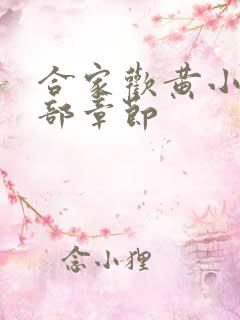 合家欢黄小梅全部章节