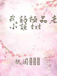 我的极品老婆 小说 txt