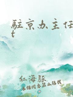 驻京办主任txt