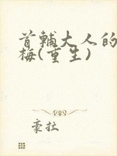 首辅大人的小青梅(重生)