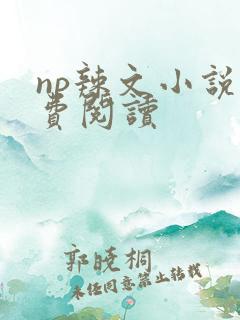 np辣文小说免费阅读