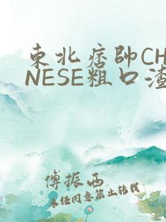 东北痞帅CHINESE粗口渣男