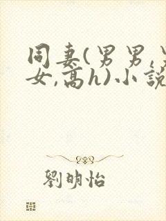 同妻(男男,男女,高h)小说