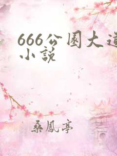 666公园大道小说