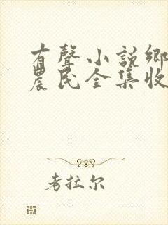有声小说乡村小农民全集收听