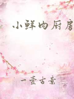 小鲜肉厨房