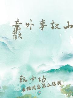 意外事故山月辞欢