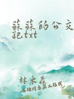 苏苏的公交车日记txt