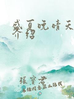盛夏晚晴天剧情介绍