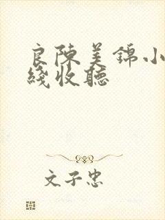 良陈美锦小说在线收听