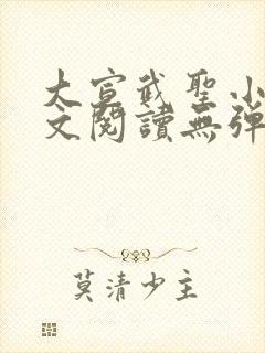 大宣武圣小说全文阅读无弹窗